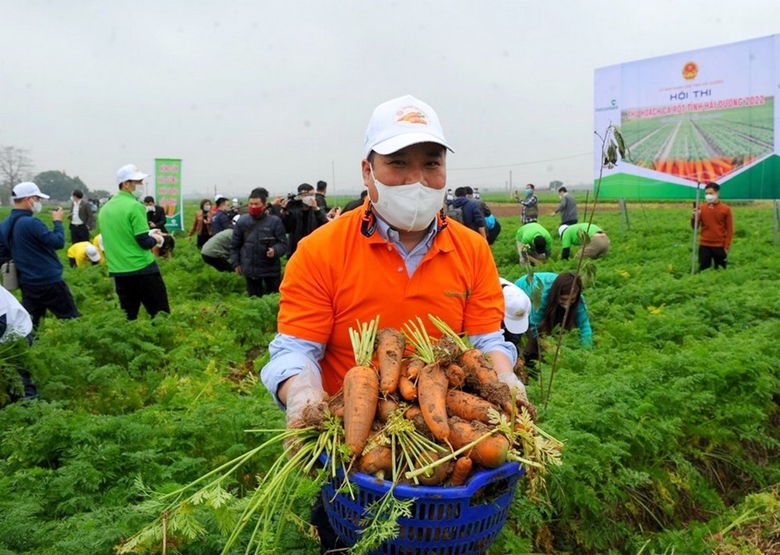 Northern province’s carrot harvest festival